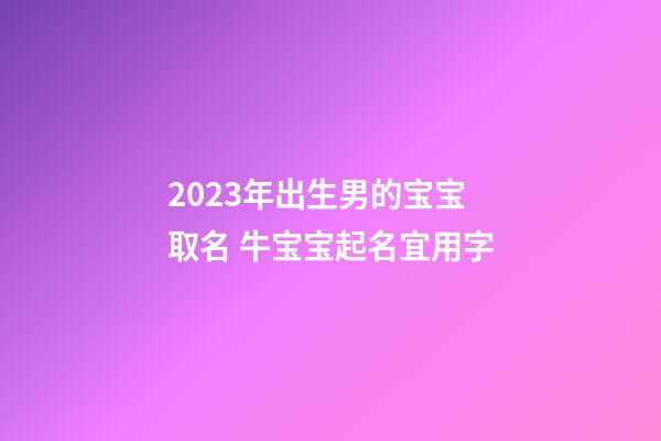 2023年出生男的宝宝取名 牛宝宝起名宜用字